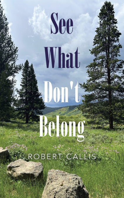 See What Don’t Belong