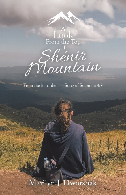 A Look from the Top  of Shénir Mountain