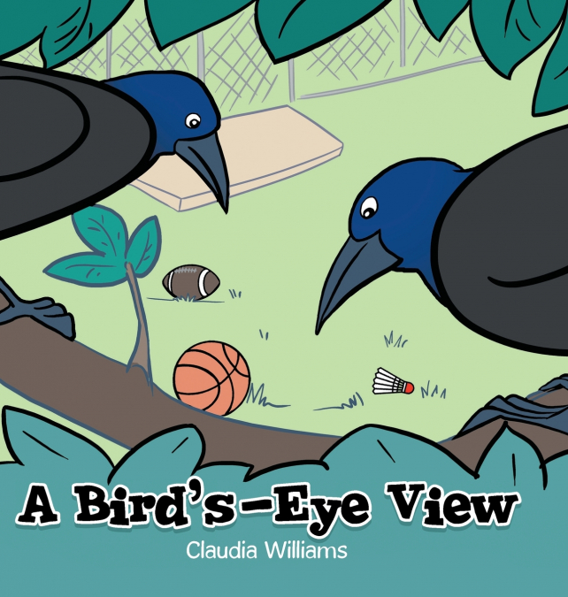 A Bird’s-Eye View