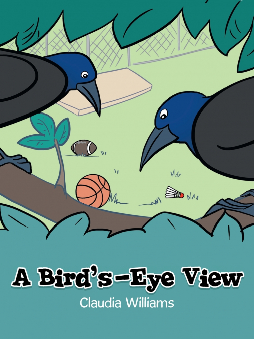 A Bird’s-Eye View