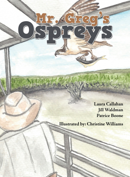 Mr. Greg’s Ospreys