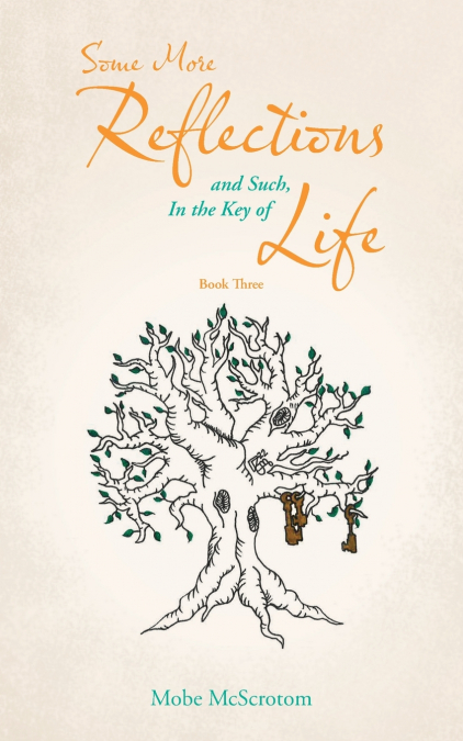 Some More Reflections and Such, in the Key of Life