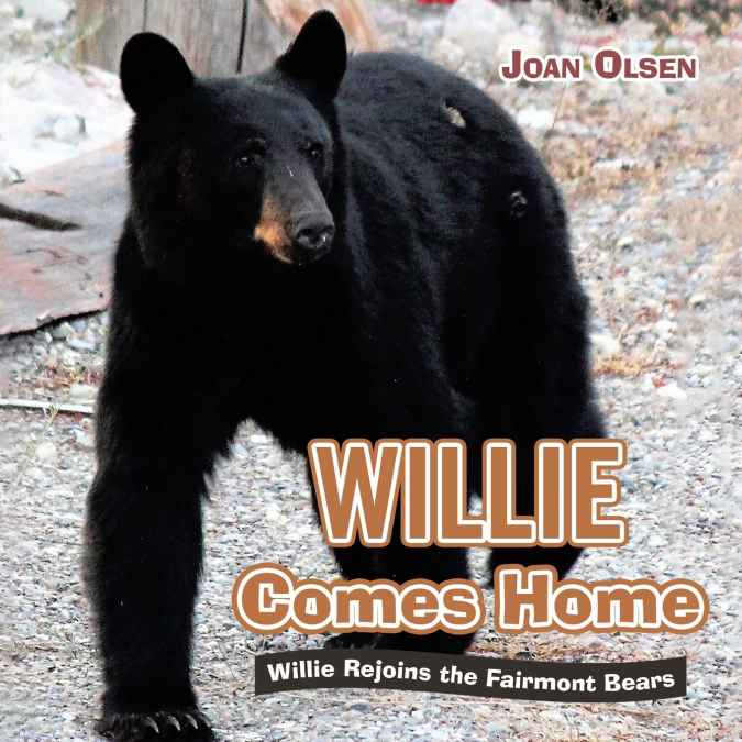 Willie Comes Home