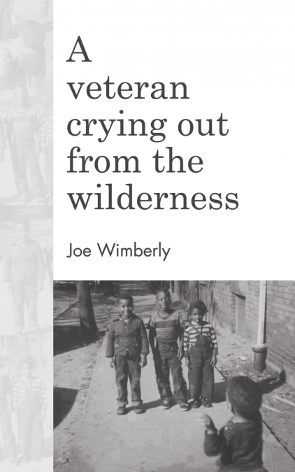 A veteran crying out from the wilderness