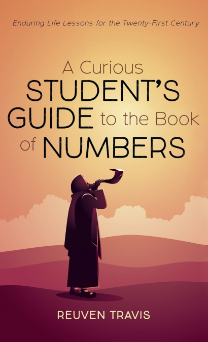 A Curious Student’s Guide to the Book of Numbers