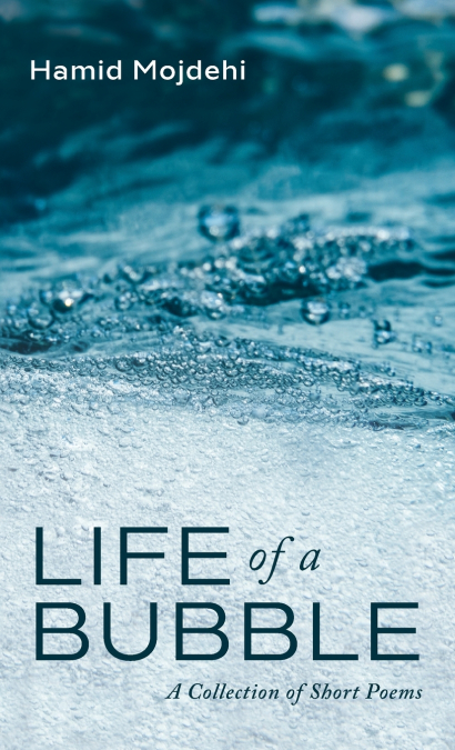 Life of a Bubble