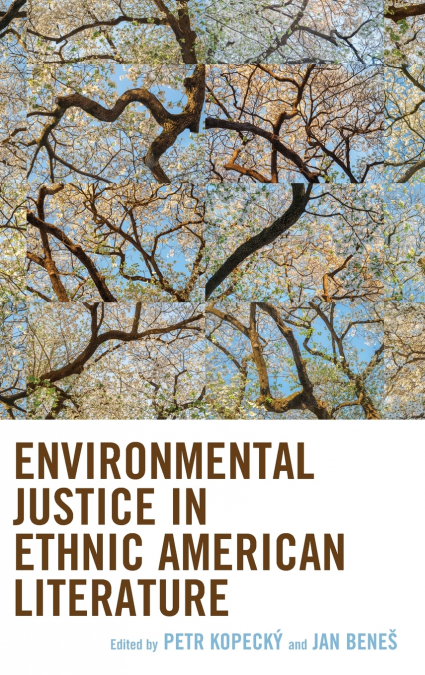 Environmental Justice in Ethnic American Literature
