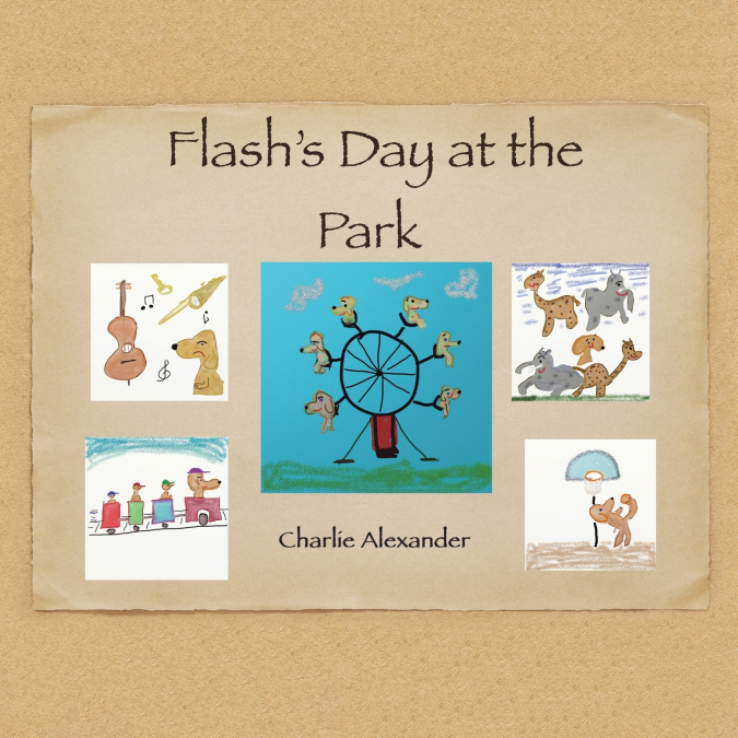 Flash’s Day at the Park