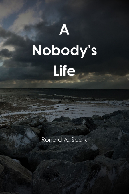 A Nobody’s Life
