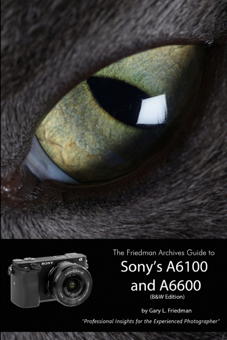 The Friedman Archives Guide to Sony’s Alpha 6100 and 6600 (B&W Edition)