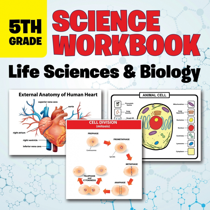 5th Grade Science Workbook