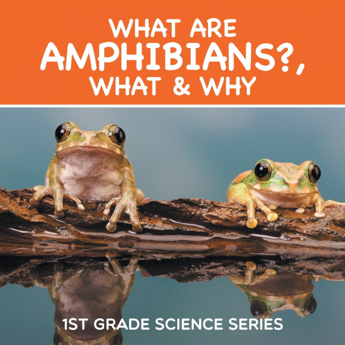 What Are Amphibians?, What & Why