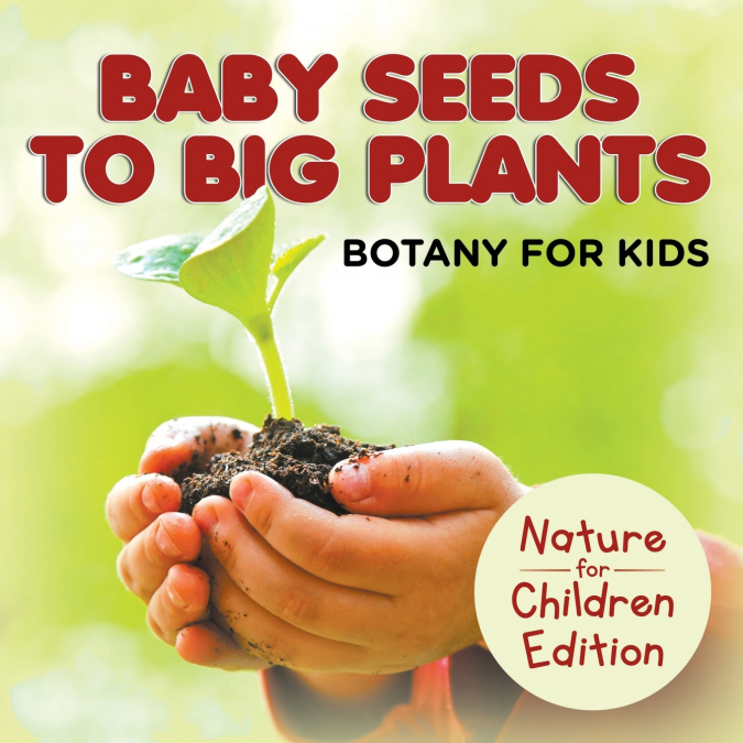 Baby Seeds To Big Plants Botany for Kids | Nature for Children Edition