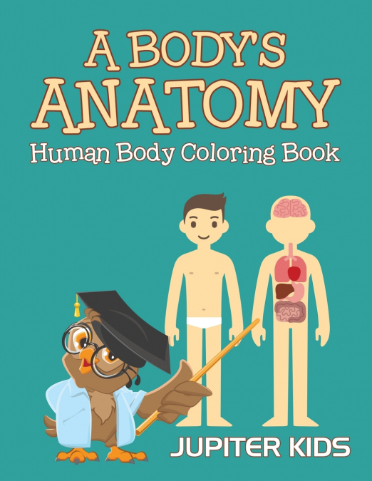 A Body’s Anatomy