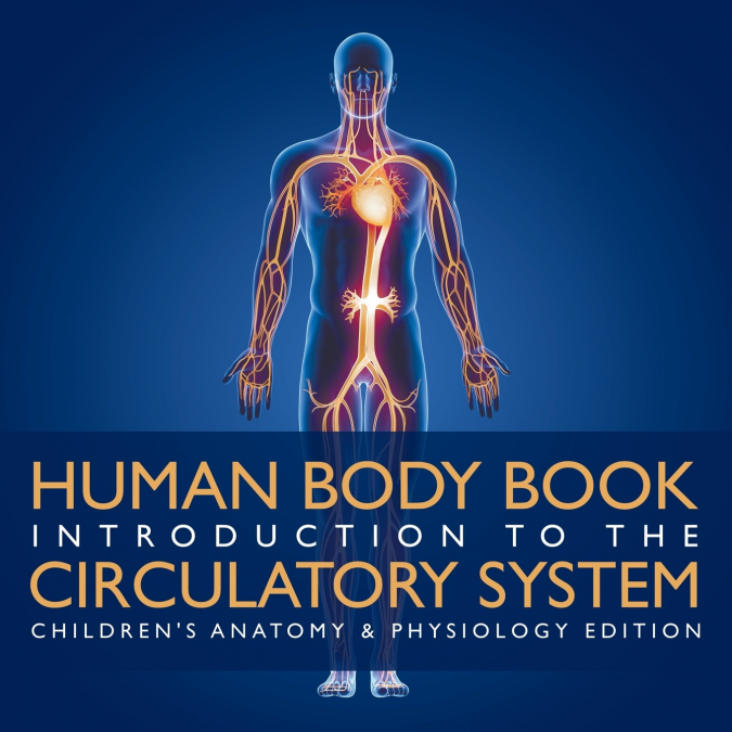 Human Body Book | Introduction to the Circulatory System | Children’s Anatomy & Physiology Edition