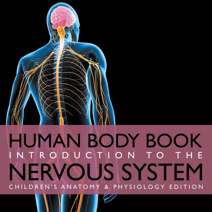 Human Body Book | Introduction to the Nervous System | Children’s Anatomy & Physiology Edition