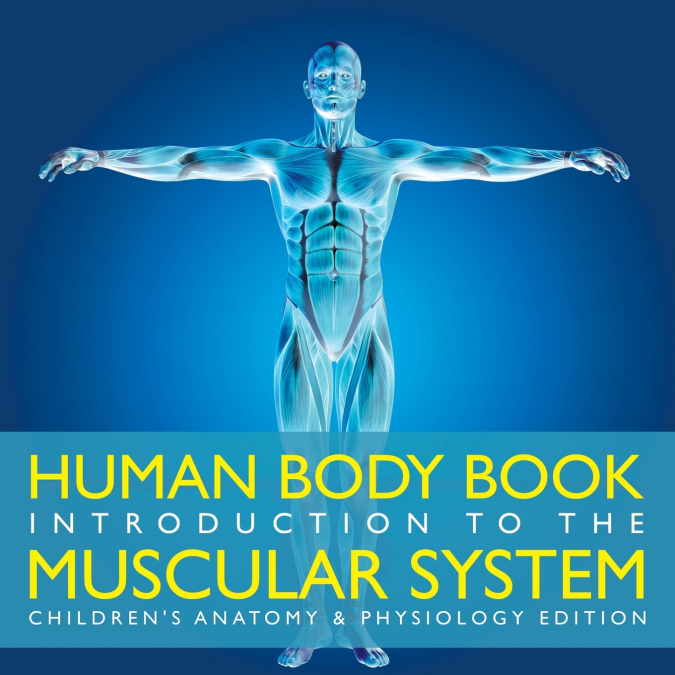 Human Body Book | Introduction to the Muscular System | Children’s Anatomy & Physiology Edition
