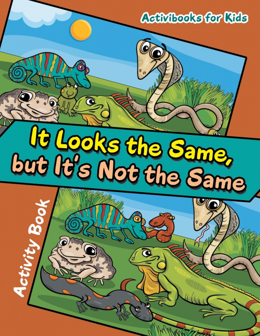 It Looks the Same, but It’s Not the Same Activity Book