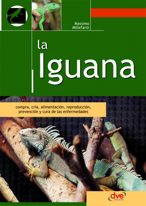 La iguana