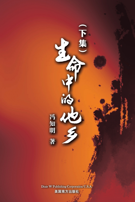 生命中的他乡 (下卷）
