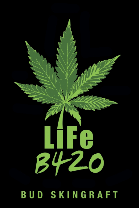 LiFe B420