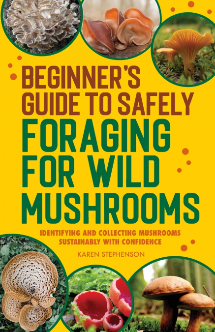 Beginner’s Guide to Safely Foraging for Wild Mushrooms