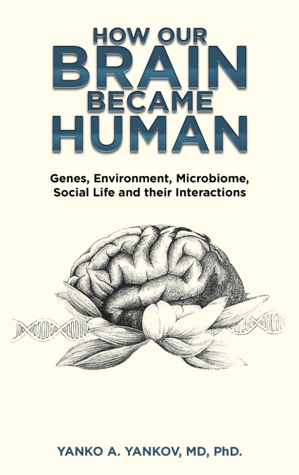 How Our Brain Became Human