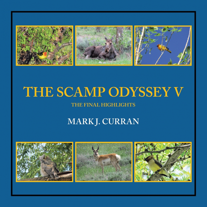 THE SCAMP ODYSSEY V