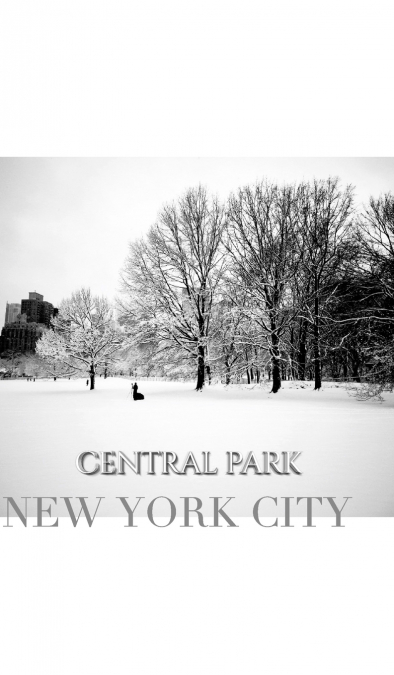 central park New York City Winter wonderland blank journal