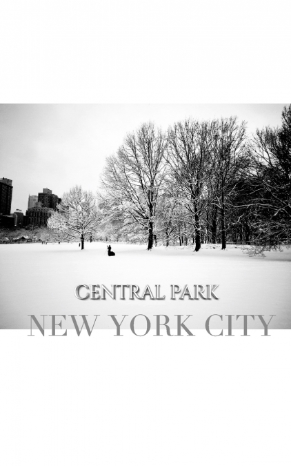 central park New York City Winter wonderland blank journal