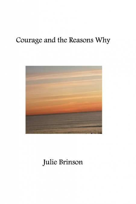Courage and the Reasons Why