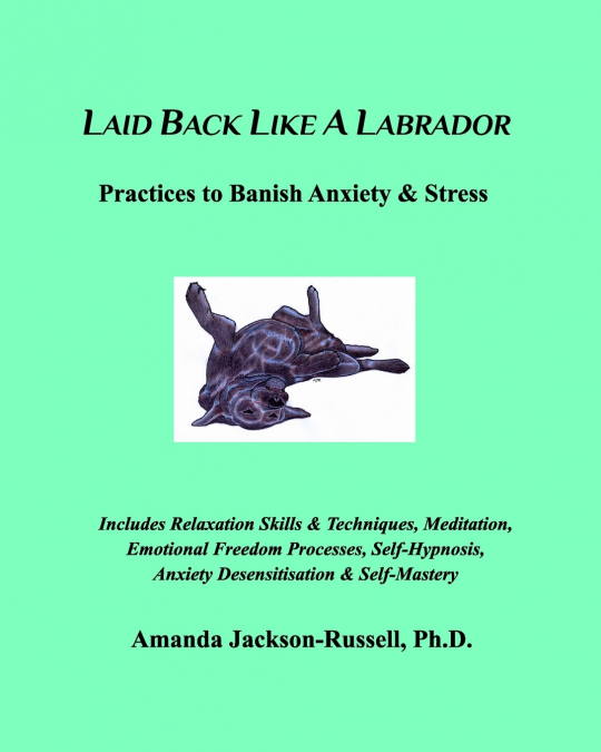 Laid Back Like A Labrador