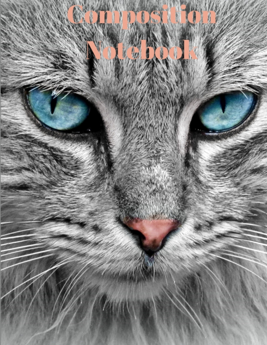 Composition Notebook