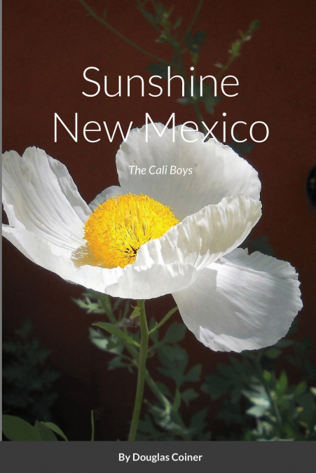 Sunshine New Mexico