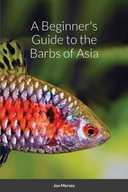 A Beginner’s Guide to the Barbs of Asia