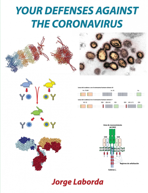 Your defenses against the coronavirus