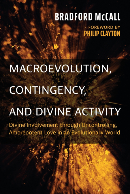 Macroevolution, Contingency, and Divine Activity