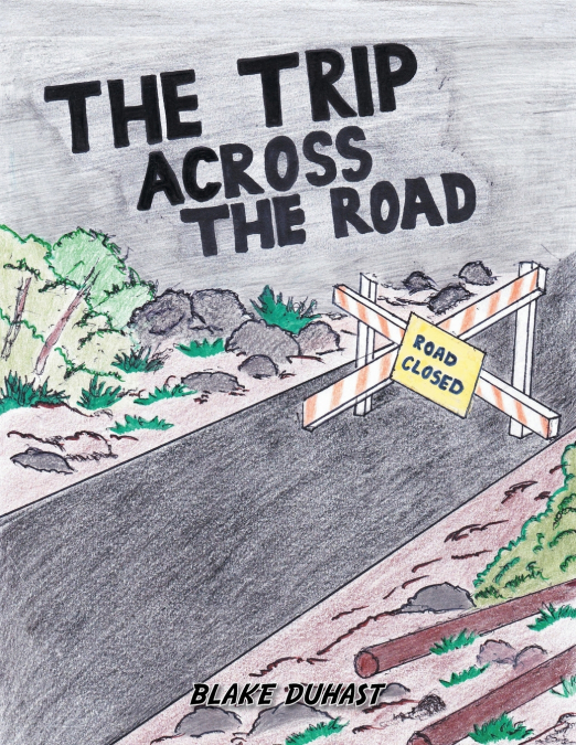 The Trip Across The Road