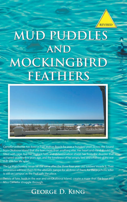 Mud Puddles and Mockingbird Feathers and The Sky is Crying