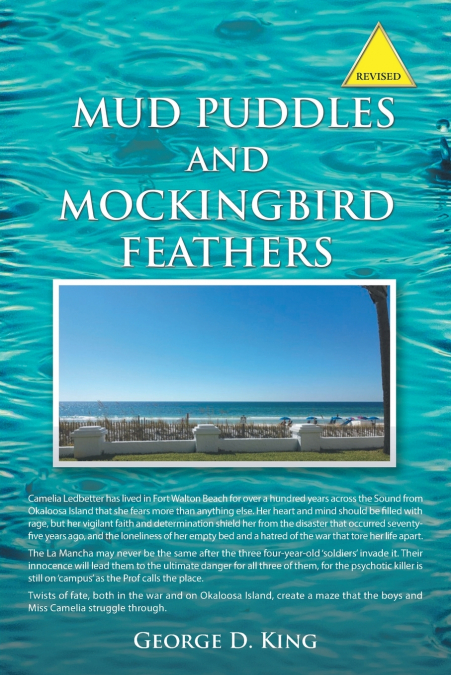 Mud Puddles and Mockingbird Feathers and The Sky is Crying