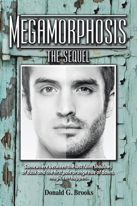 Megamorphosis