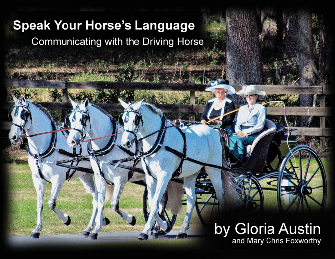 Speak Your Horse’s Language