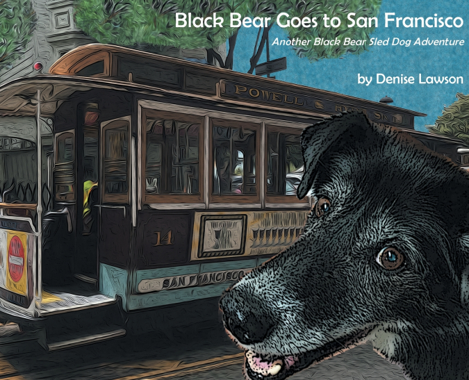 Black Bear Goes to San Francisco
