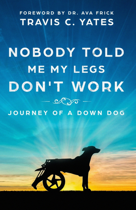 Nobody Told Me My Legs Don’t Work