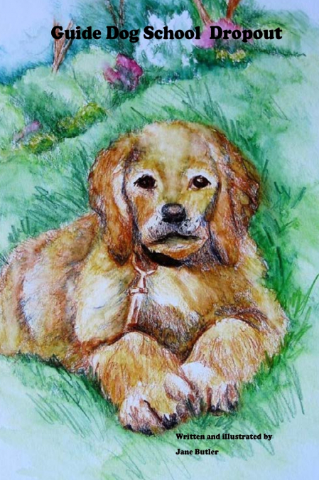 Guide Dog School Dropout
