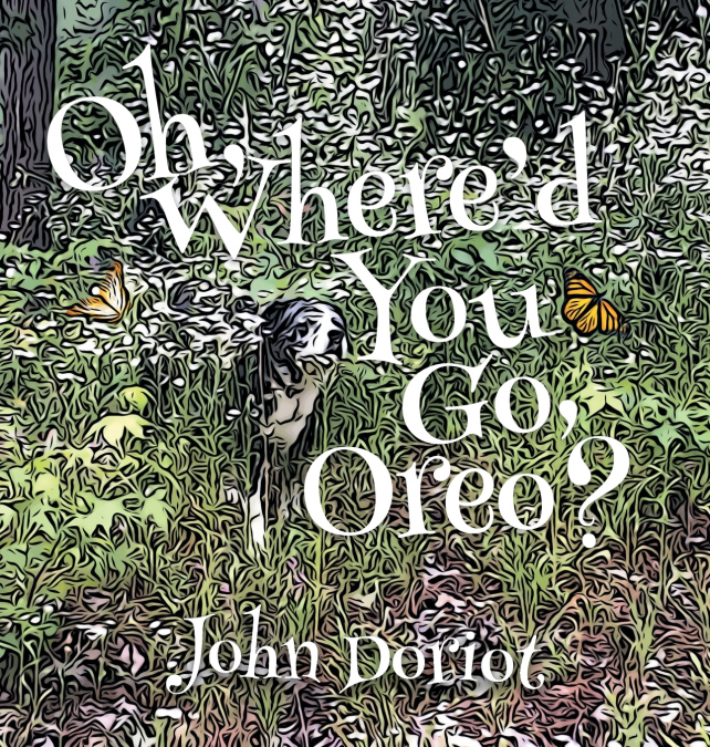 Oh, Where’d You Go, Oreo?