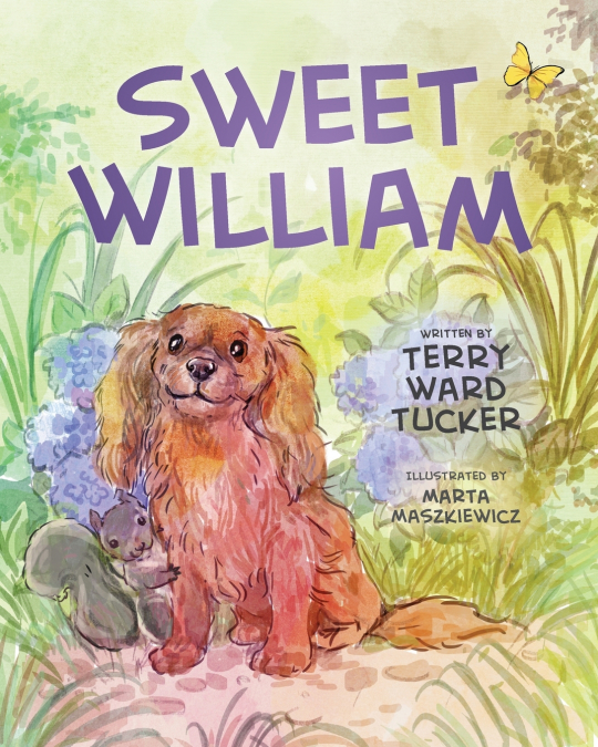Sweet William