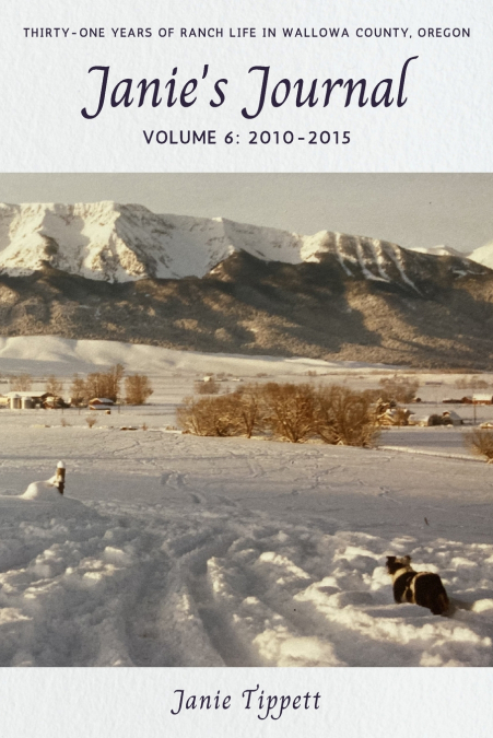 Janie’s Journal, volume 6