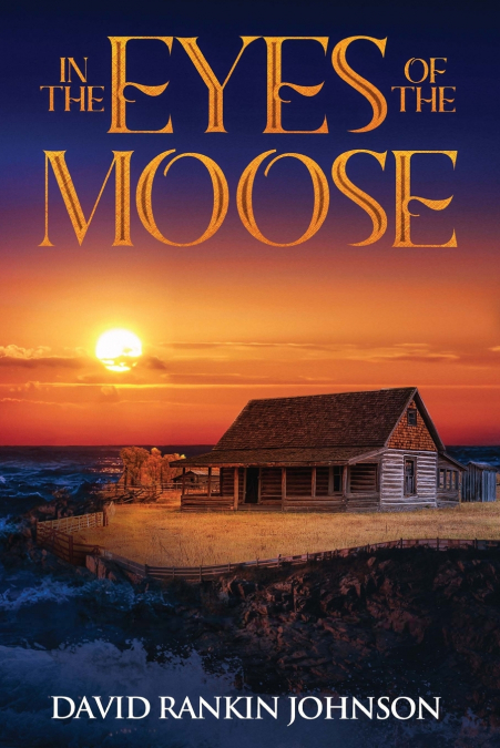 In The Eyes of The Moose