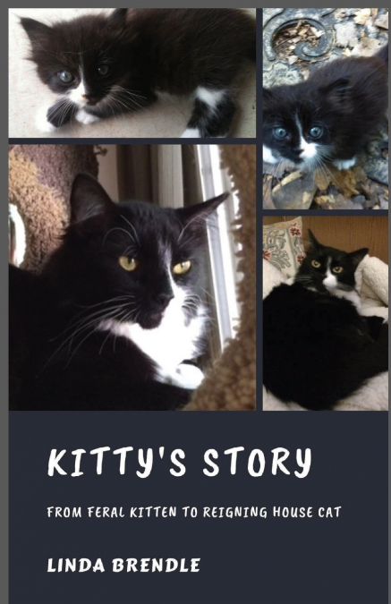 KITTY’S STORY